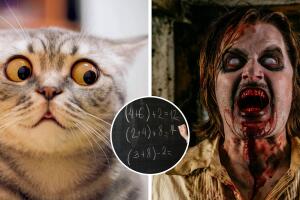 collage_zombies_matematicas_tiktok.jpg
