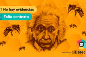 abejas einstein cambio climático eldetector