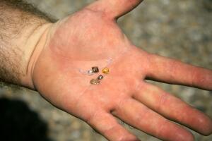 Diamantes encontrados por visitante en Cráter de Diamantes de Murfreesboro, sur de Arkansas