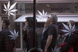 Marihuana tienda