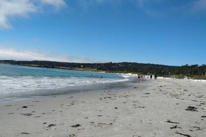 <b>Un lugar que llama a la aventura y la diversión al aire libre es lo que promete el recorrido de 17 millas por la Península Monterey, en la costa central de California</b>. La ruta te lleva por
<a href="https://www.pebblebeach.com/17-mile-drive/" target="_blank">Pebbles Beach,</a> Carmel y Punta Lobos, playas famosas por su arena blanca y bordeadas por bosques de cipreses. Un verdadero anfiteatro natural que puedes aprovechar para un día de actividades al aire libre.