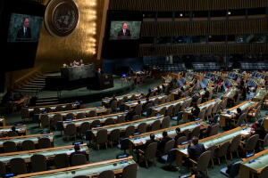 ONU - Organización Naciones Unidas