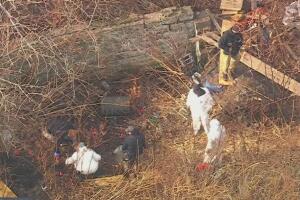 Hallan cráneo y restos humanos cerca del paseo marítimo de Coney Island.