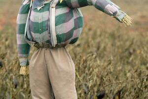 Families And Scarecrows Flock To Pumpkin Patch Before Halloween