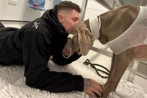 Jaxon Feeley y Rambo en el veterinario