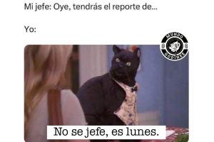 memes-trabajo (9).png