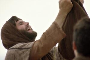 milagros-jesus-20.jpg