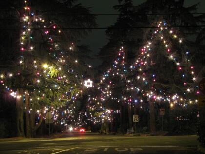 1920px-Christmas_Tree_Lane.jpg