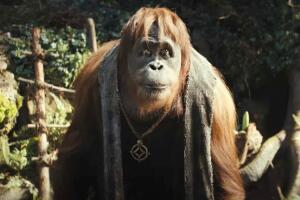 Raka porta un collar con un símbolo que le recuerda las enseñas de César en 'El planeta de los simios: nuevo reino'