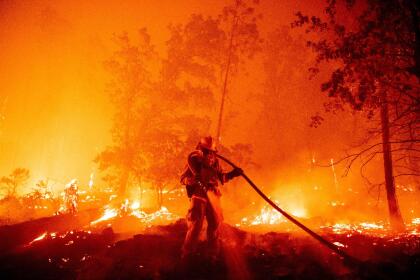 Este lunes, la situación en los incendios en los condados de Fresno, Madera, Mariposa, San Diego y San Bernardino obligaron al gobernador Newsom a decretar el estado de emergencia en las cinco jurisdicciones a fin de proveer los recursos que las agencia locales y las afectados necesitarán para superar las pérdidas millonarias a consecuencias de las conflagraciones.
<br>
<br>
<br>
<br>