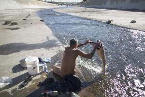 Los Angeles Approves New Campaign To Aid In City's Homeless Crisis