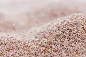 psyllium-texto.jpg