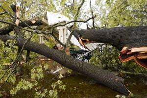 Severe Weather Mississippi
