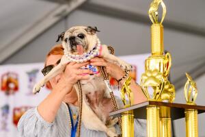 APTOPIX Ugly Dog Contest