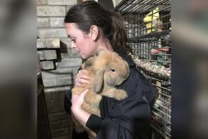 ANIMALES/ANIMALES-RESCATADOS6.jpg