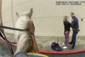 persecucion a caballo.jpg