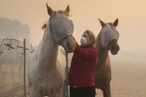 APTOPIX California Wildfires Blackout