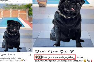 El "meme" de 'El Gordo' Aguilar que aparentemente hizo alusión a Emiliano tuvo una reacción de 'me gusta' por parte de Ángela Aguilar.  