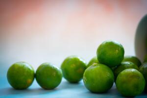 Group of fresh green lime citrus plucked from branch of lemon tree.