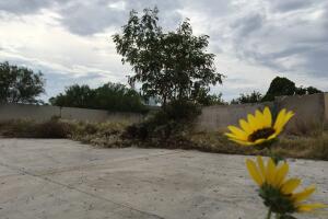 Casa Alfonso Cuéllar