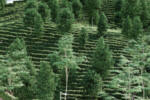 Un parque a prueba de contagios