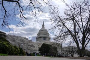Capitolio de Estados Unidos