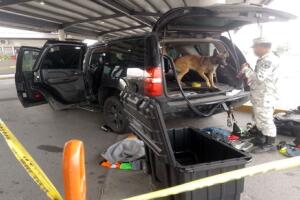 Tamaulipas municiones