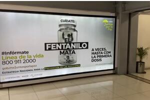 campaña gobierno de méxico