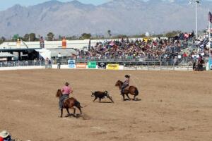 Fiesta del Rodeo Tucson (archivo)