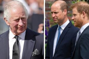 El tierno guiño a William y Harry que tuvo Carlos III al ser proclamado rey	