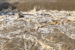 RIO SCHUKLIL /IMG_4569.JPG