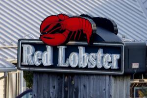 RED LOBSTER