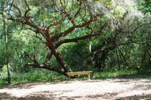 Pundt Park