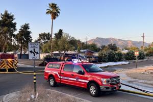 Ataque de abejas en Tucson deja a 8 personas afectadas.