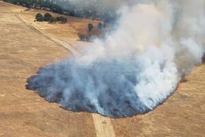 Grass Fire Metro Fire.jpg
