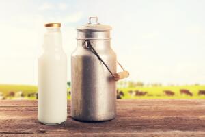 milk can and bottle on table near the cow pasture meadow