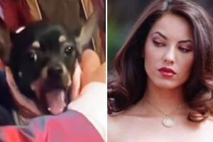 Perrito vomita en escena de Rubí