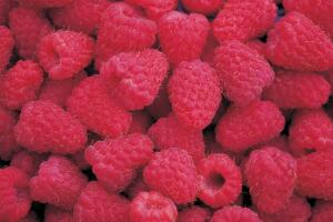 frambuesa630.jpg