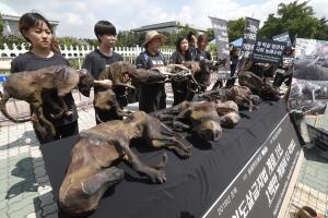 South Korea Dog Meat