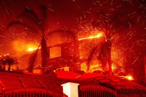 AP24312114676223 (1).jpg