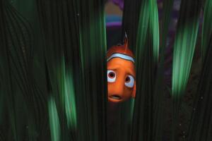 nemo.jpg