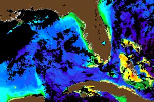 Sargassum monitoring map March 2023