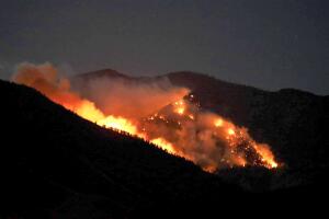 Morgan Canyon Fire.jpg