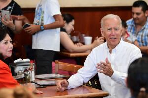 US-POLITICS-VOTE-DEMOCRATS-BIDEN