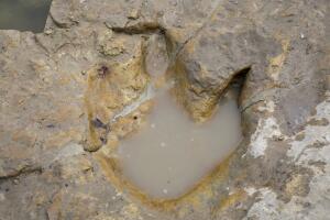 Dinosaur Valley Park y poblados texanos