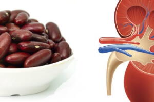 legumes-orgaos-feijao.jpg