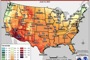 Screen Shot 2021-06-12 at 10.18.46 PM.png