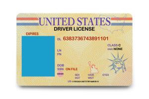 Blank Driver License
