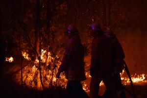 Multiple Bushfires Burning At Emergency Level Across NSW Following Death Of Volunteer Firefighter