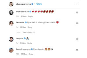 comentarios-video-silvia-navarro-hijo-león.jpg